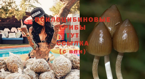 spice Абдулино