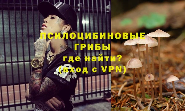 спиды Абинск