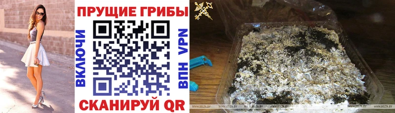 купить закладку  Бокситогорск  Псилоцибиновые грибы мухоморы 